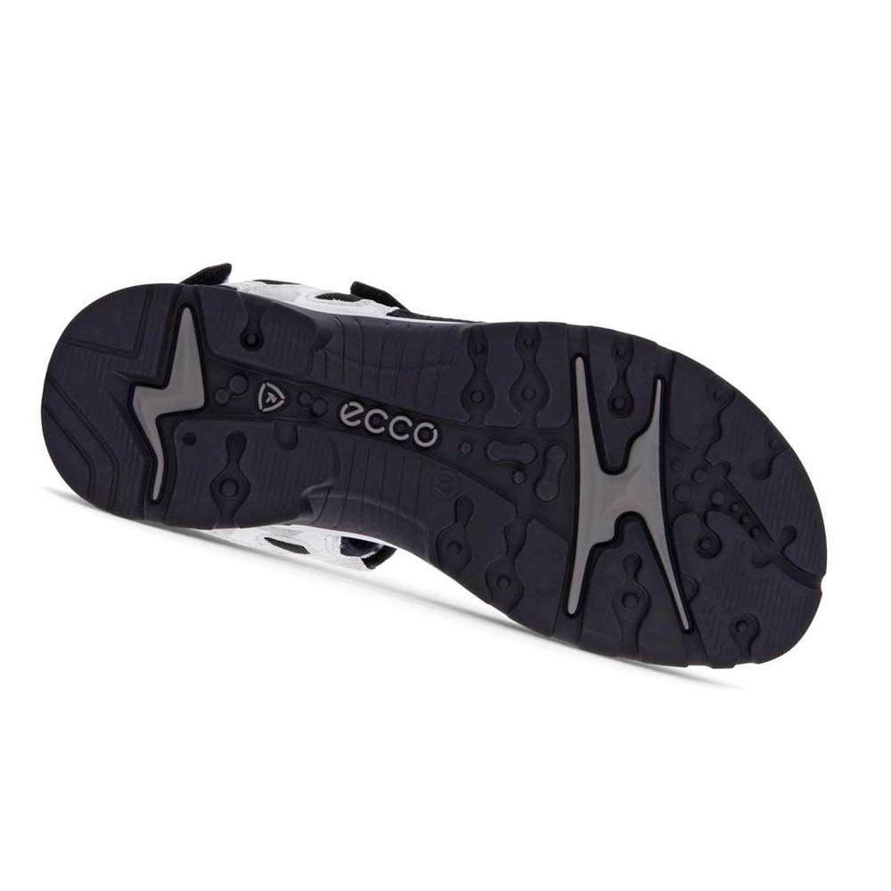 Women's Ecco Offroad Sandals Silver | USA 188UZG